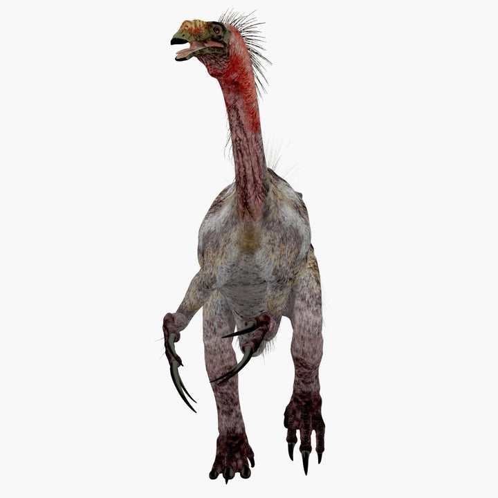 Front view of a Therizinosaurus dinosaur. Poster Print by Corey Ford/Stocktrek Images Image 2