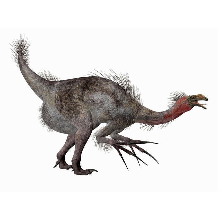 Side profile of a Therizinosaurus dinosaur. Poster Print by Corey Ford/Stocktrek Images Image 2