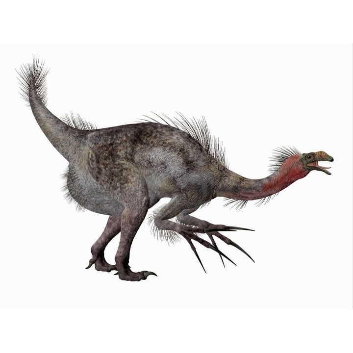 Side profile of a Therizinosaurus dinosaur. Poster Print by Corey Ford/Stocktrek Images Image 1