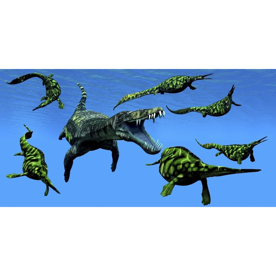 A Nothosaurus marine reptile attacks a pod of Hupehsuchus dinosaurs. Poster Print by Corey Ford/Stocktrek Images Image 1