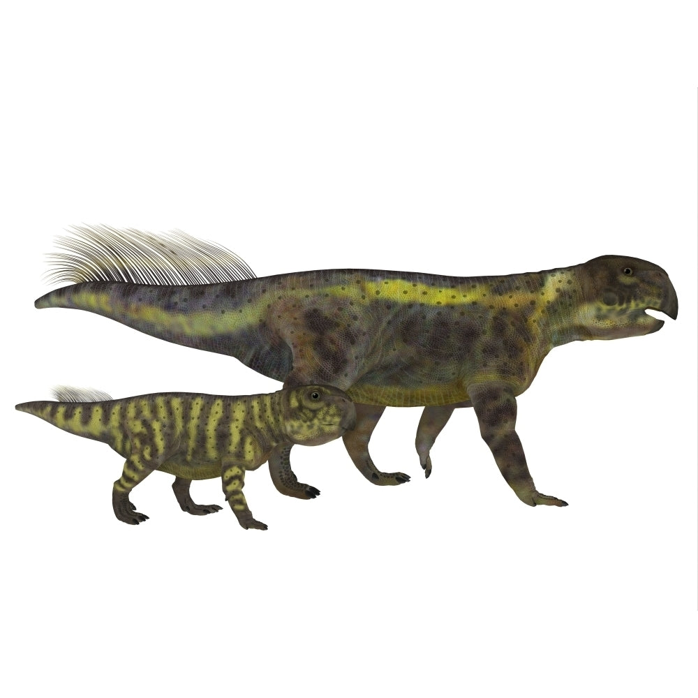 An adult Psittacosaurus dinosaur with offspring. Poster Print by Corey Ford/Stocktrek Images Image 2