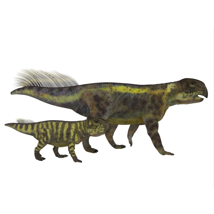 An adult Psittacosaurus dinosaur with offspring. Poster Print by Corey Ford/Stocktrek Images Image 1