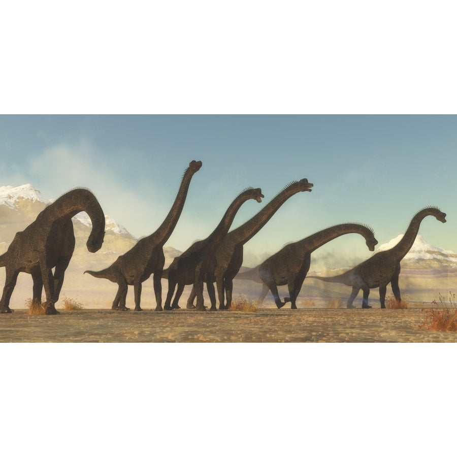 A Brachiosaurus dinosaur herd moving through a dry desert area. Poster Print by Corey Ford/Stocktrek Images Image 1