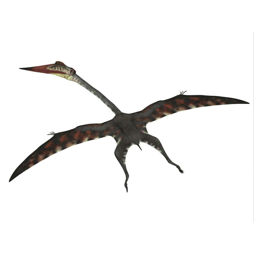 Quetzalcoatlus flying pterosaur. Poster Print by Corey Ford/Stocktrek Images Image 2