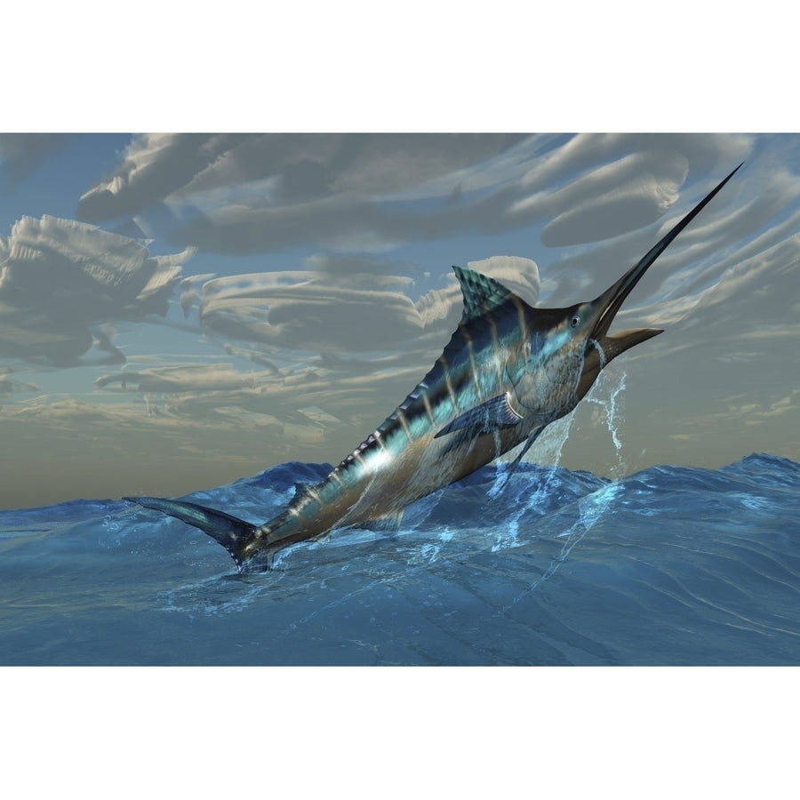 An iridescent Blue Marlin bursts from ocean waters Poster Print Image 1