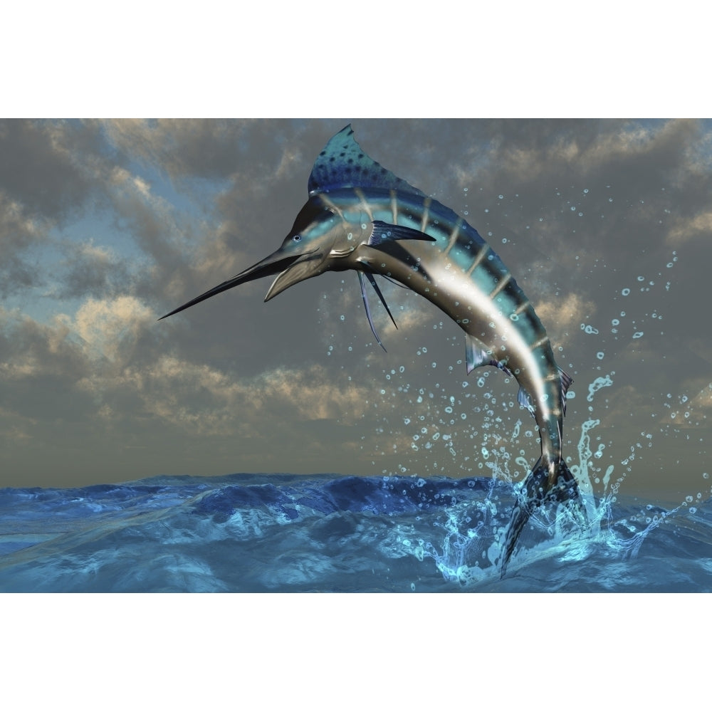 A Blue Marlin flashes its iridescent colors as it bursts from the ocean Poster Print Image 2