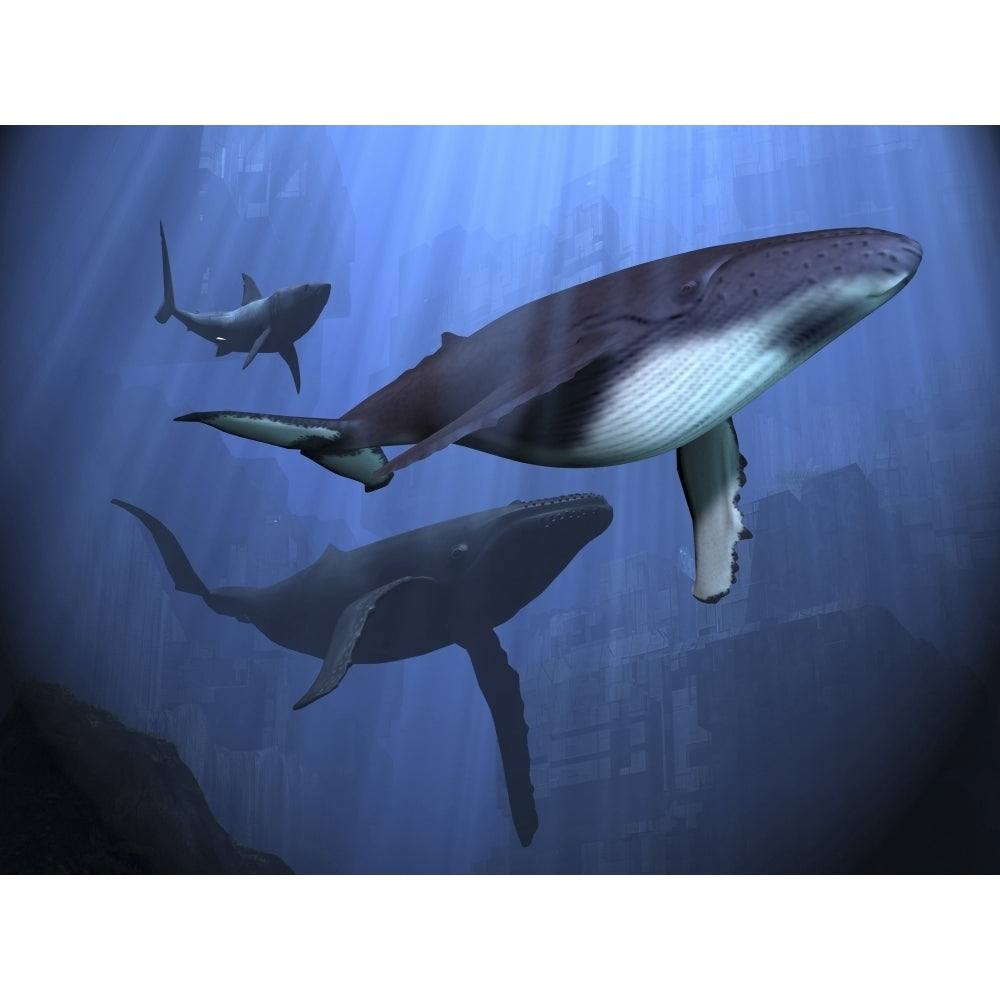 Two humpback whales and a shark swim among ancient city ruins Poster Print Image 1