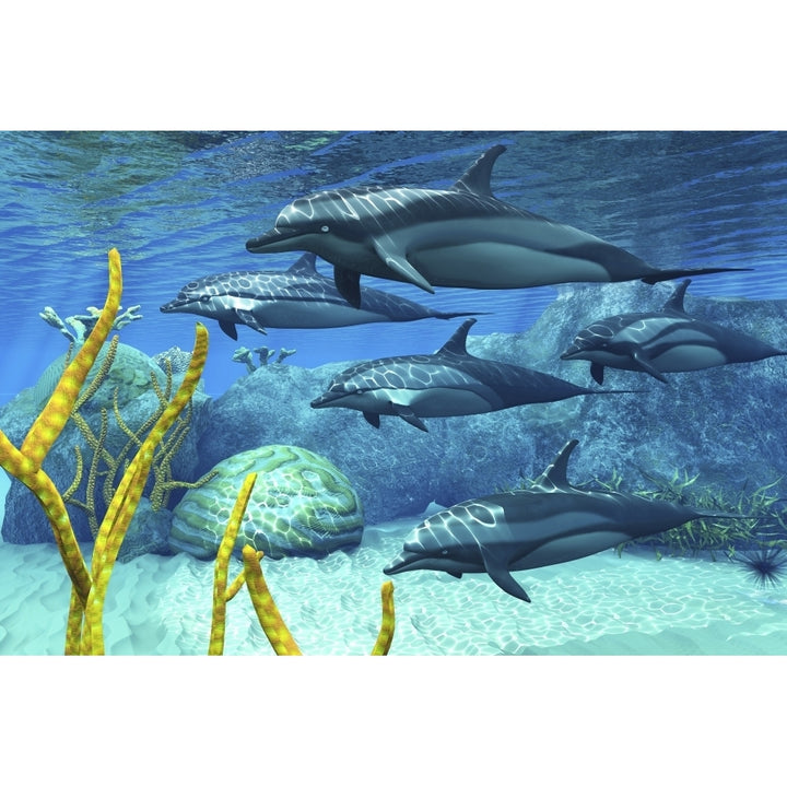 A pod of striped dolphins swimming along a reef Poster Print Image 1