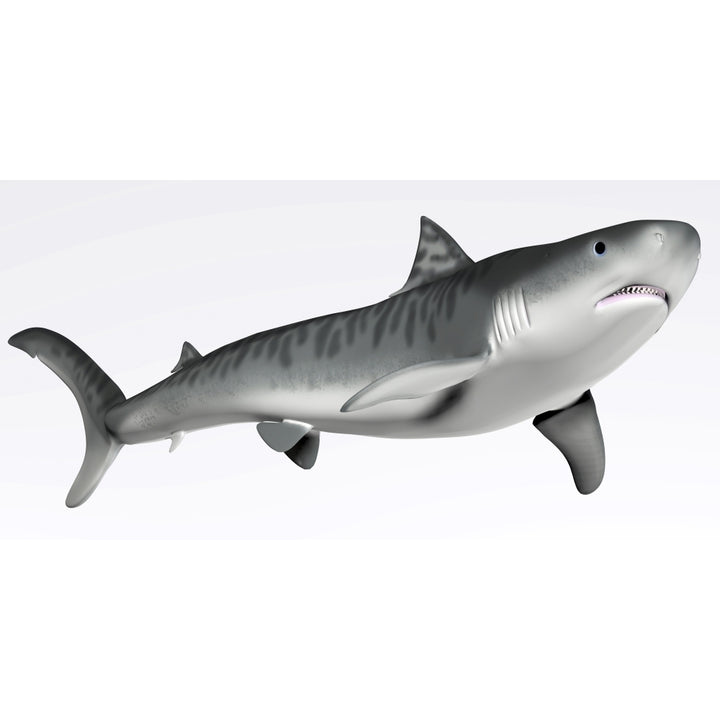 Tiger Shark Profile Poster Print Image 1