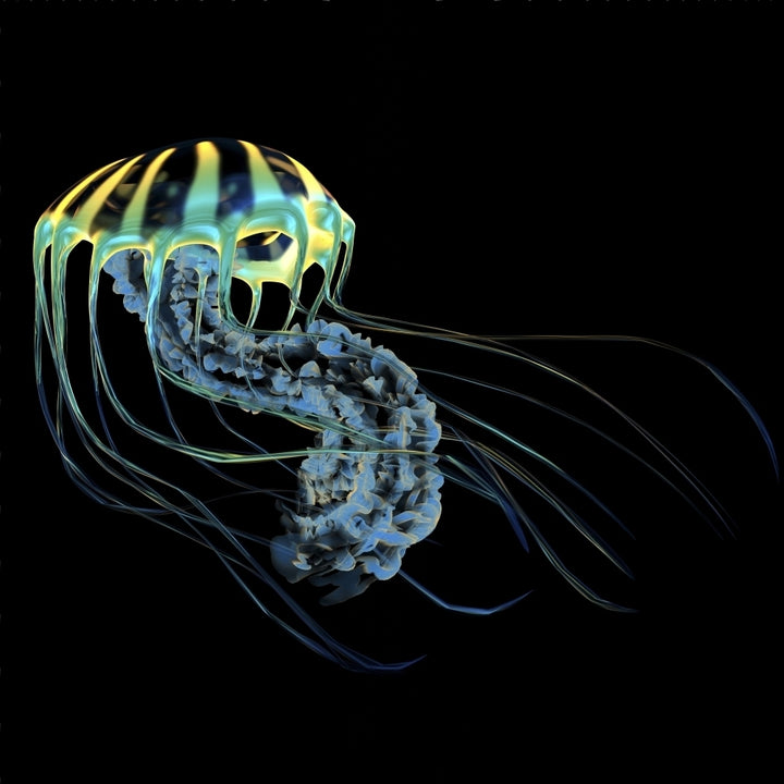 A bioluminescent Jellyfish Poster Print Image 1