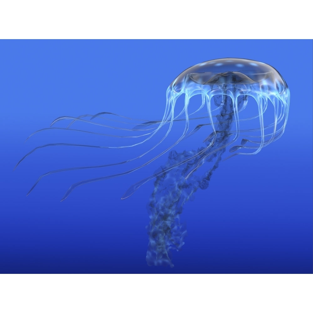 A blue spotted jellyfish illustration Poster Print Image 2