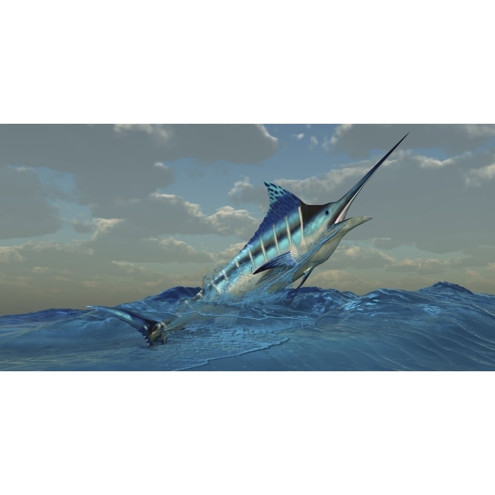 A Blue Marlin bursts from ocean waters Poster Print Image 2