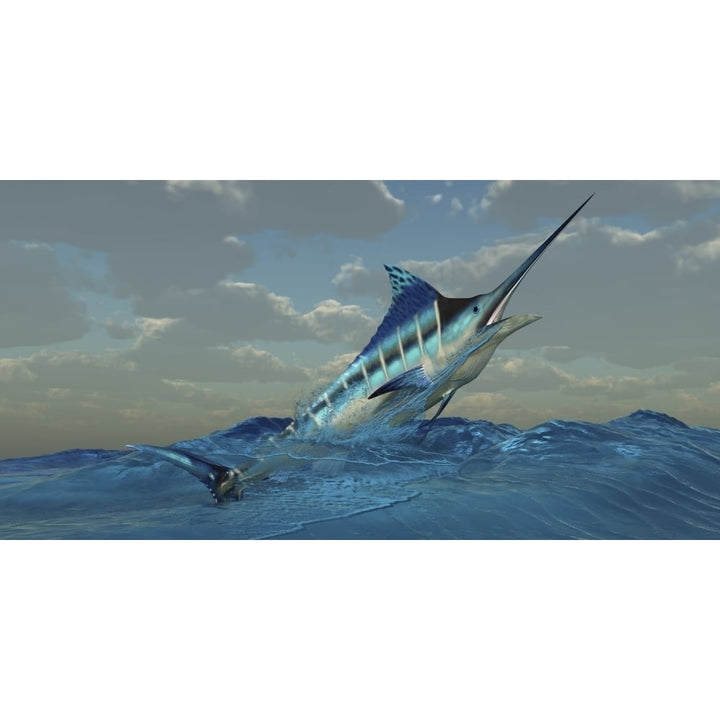 A Blue Marlin bursts from ocean waters Poster Print Image 1