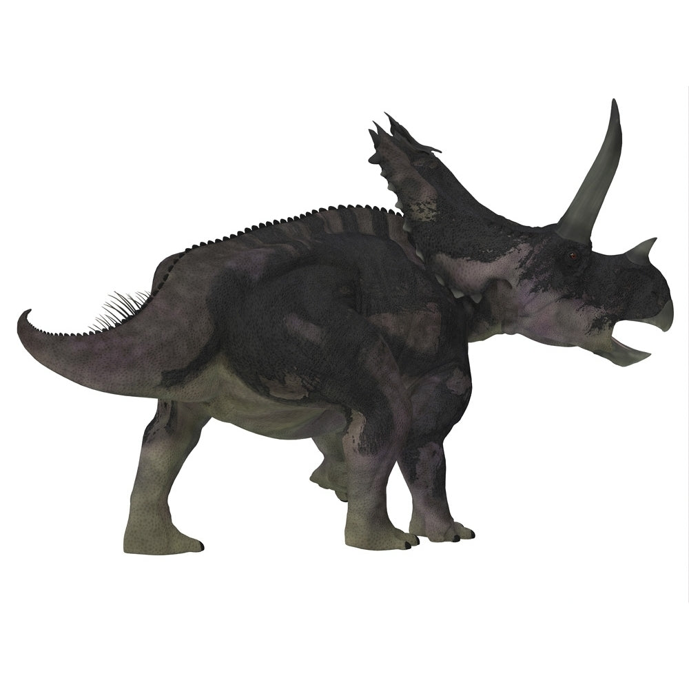 Agujaceratops dinosaur on white background. Poster Print by Corey Ford/Stocktrek Images Image 1