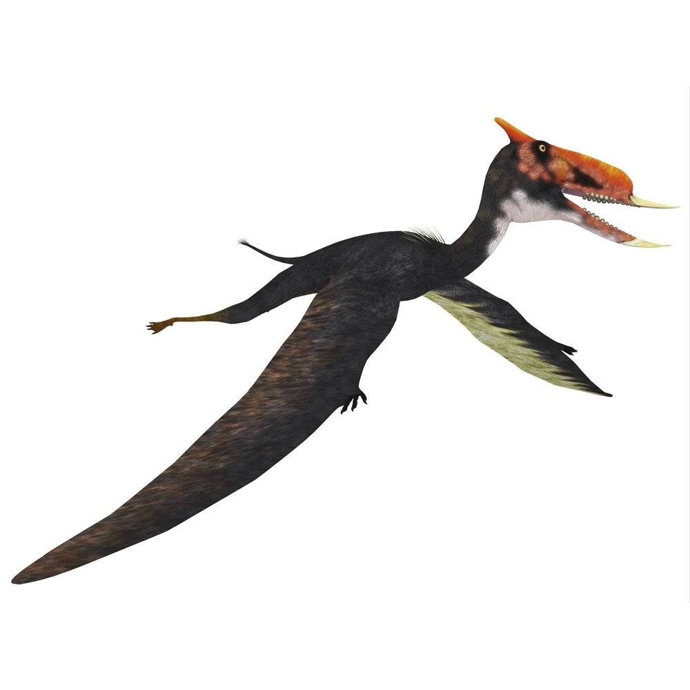 Dsungaripterus flying reptile. Poster Print by Corey Ford/Stocktrek Images Image 1