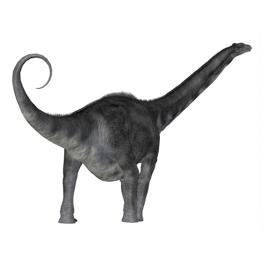 Argentinosaurus dinosaur rear view. Poster Print by Corey Ford/Stocktrek Images Image 1