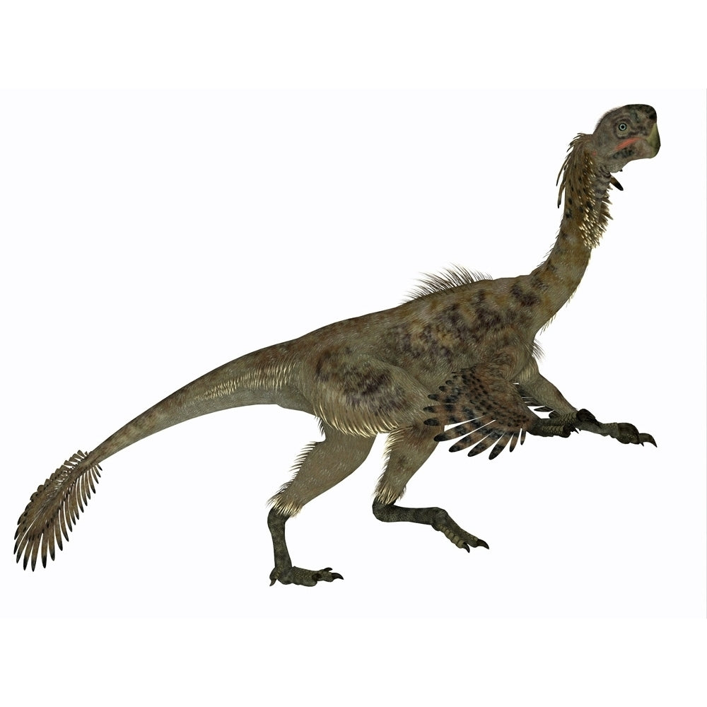 Citipati female dinosaur side profile. Poster Print by Corey Ford/Stocktrek Images Image 1