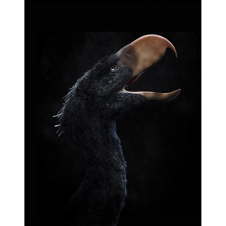 Andalgalornis steulleti a flightless predatory bird Poster Print Image 1