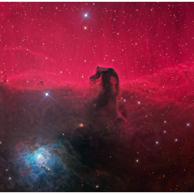 The Horsehead Nebula Poster Print by Ken Crawford/Stocktrek Images Image 1