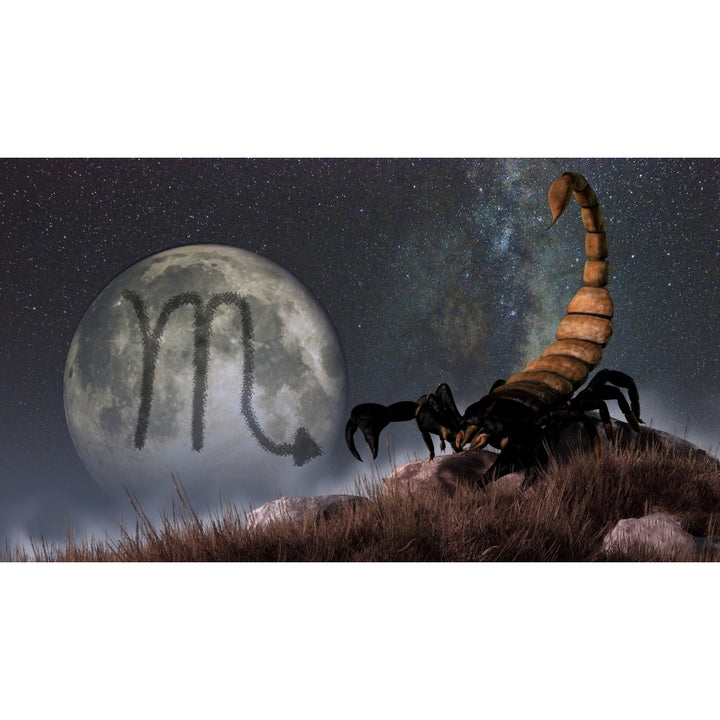 Scorpio is the eighth astrological sign of the Zodiac Poster Print Image 1