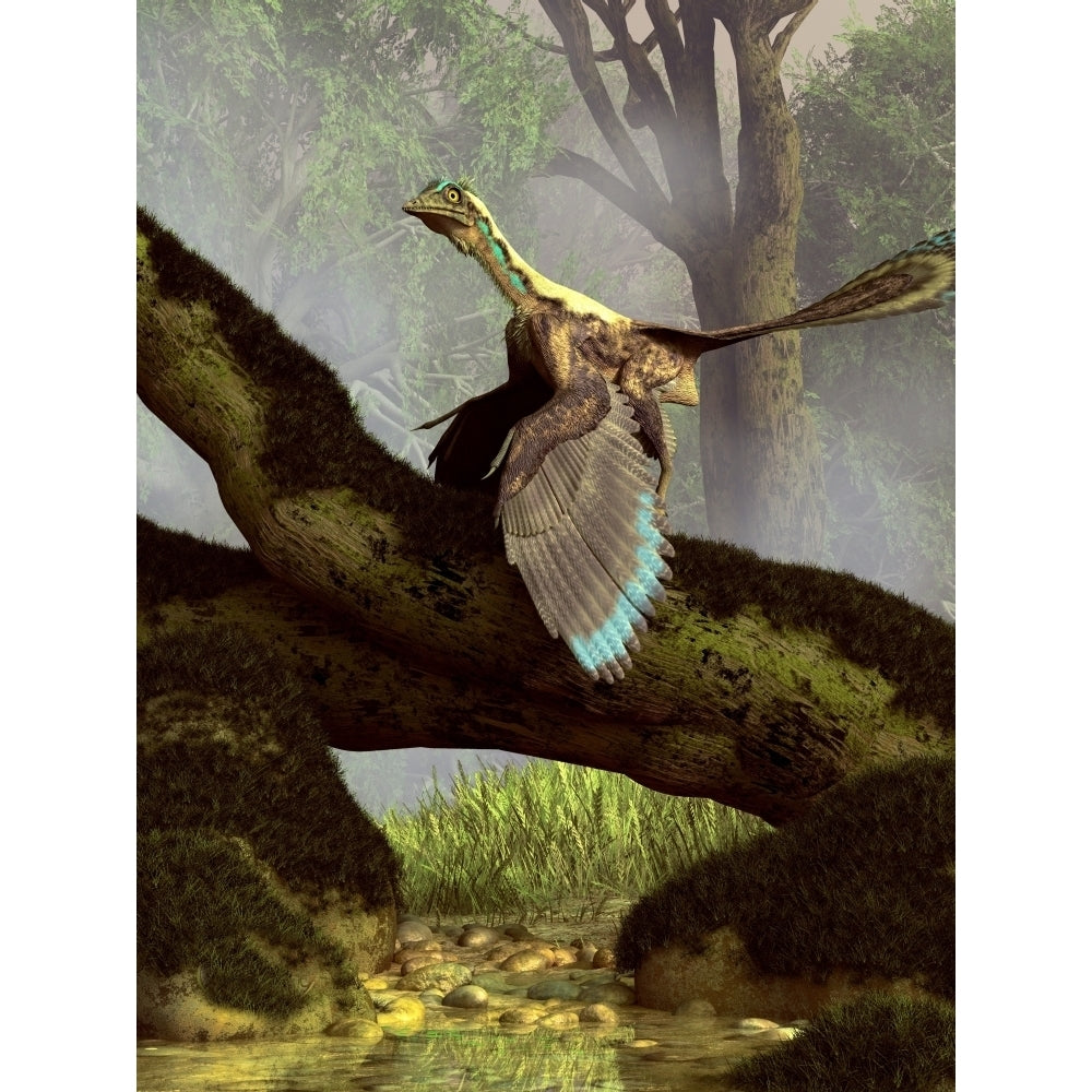 An Archaeopteryx on a log above a stream Poster Print Image 1