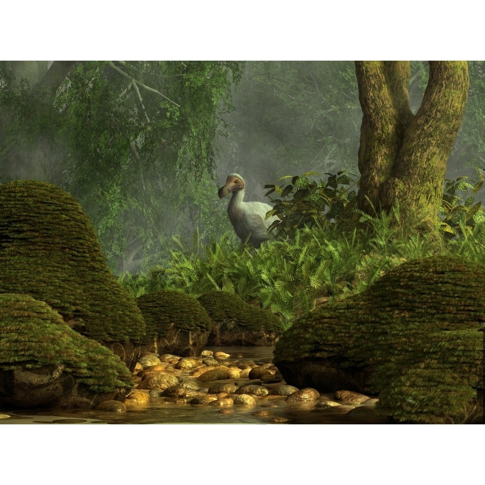 A Dodo bird hides in a dense jungle near a stream Poster Print Image 2