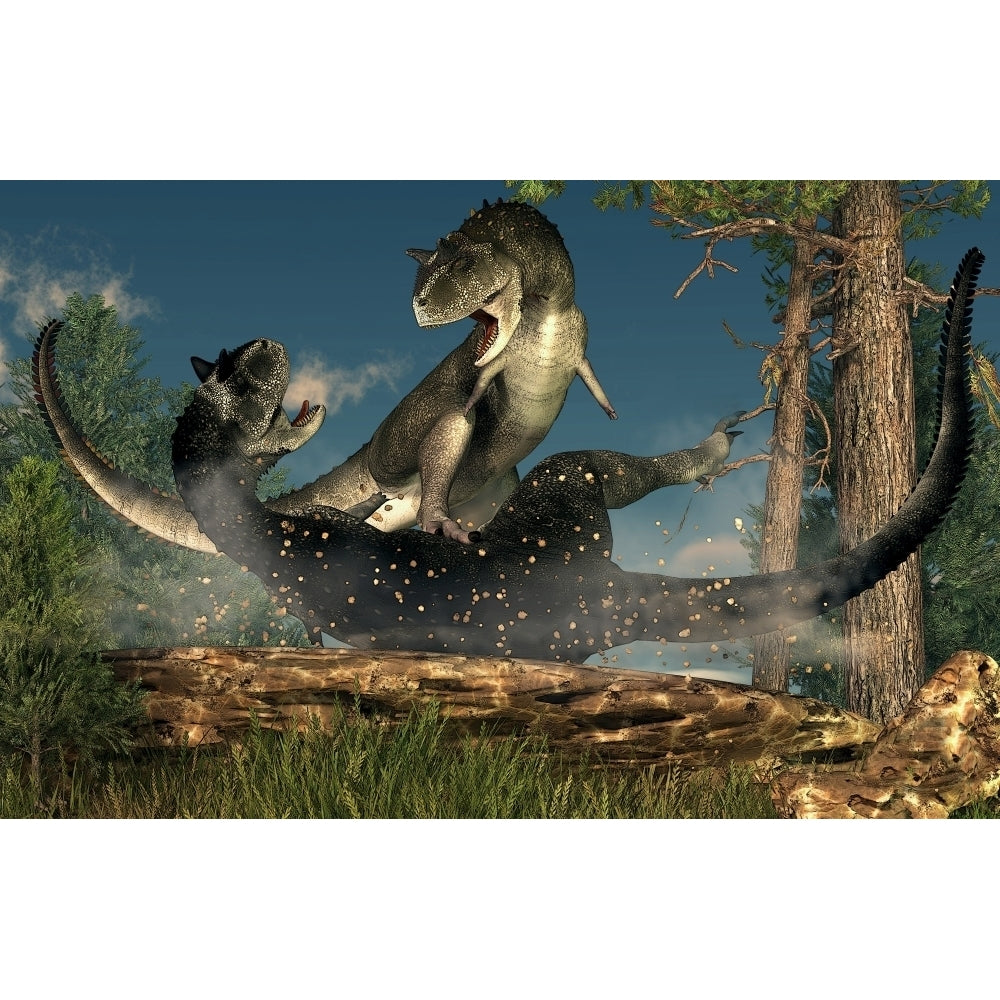 A couple of Carnotaurus dinosaurs fighting Poster Print Image 1