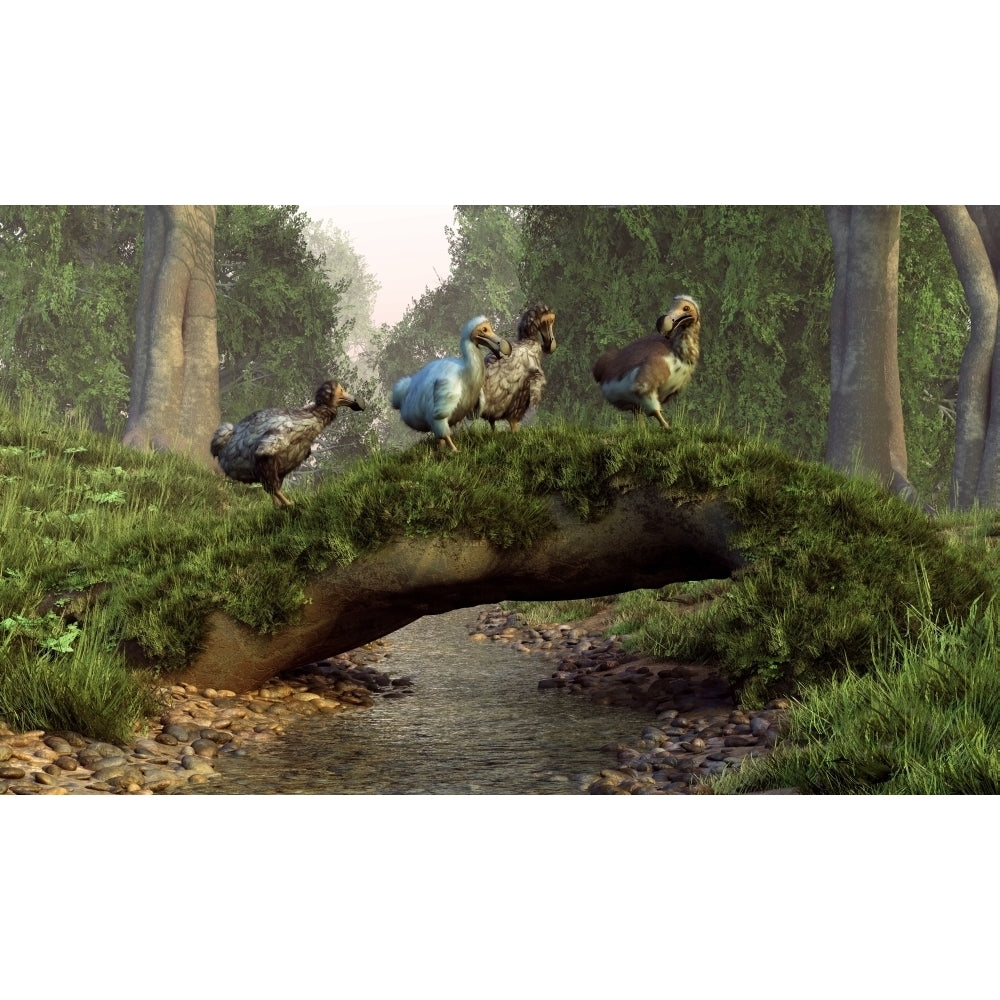 A group of Dodo birds crossing a natural bridge over a stream Poster Print Image 2