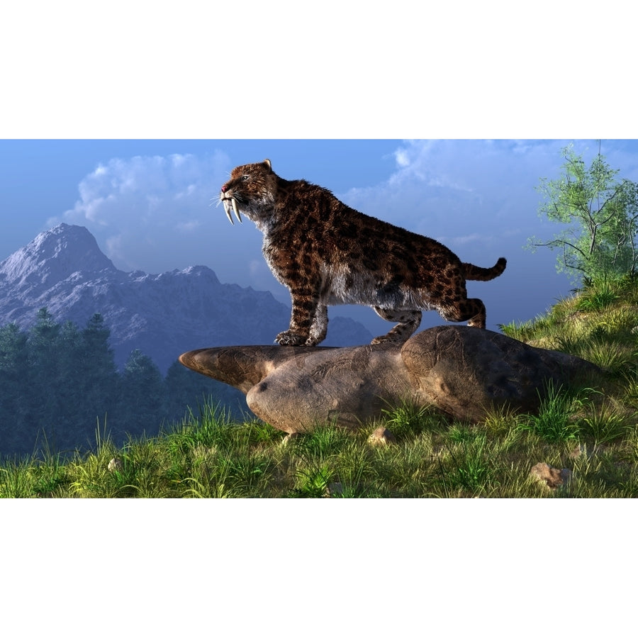 Smilodon on a mountainside Poster Print Image 1