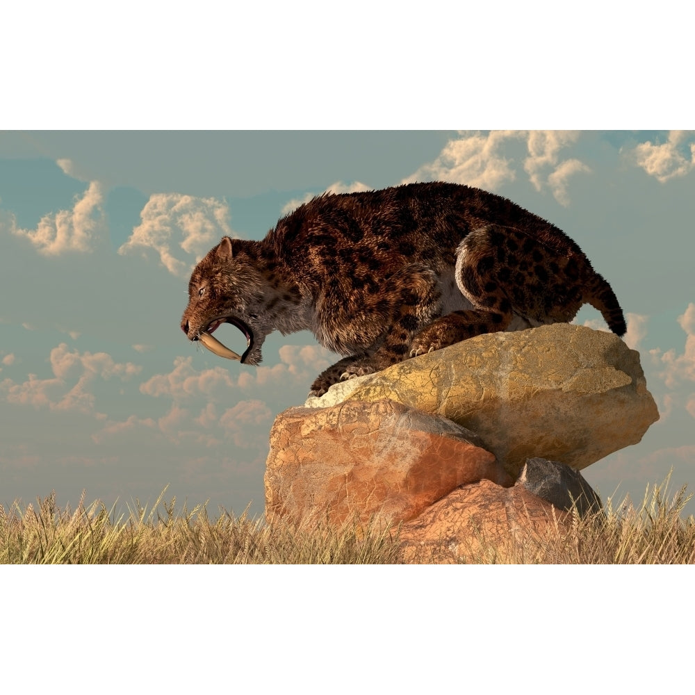 A Smilodon sits on a rock surrounded by golden fall fields Poster Print Image 2