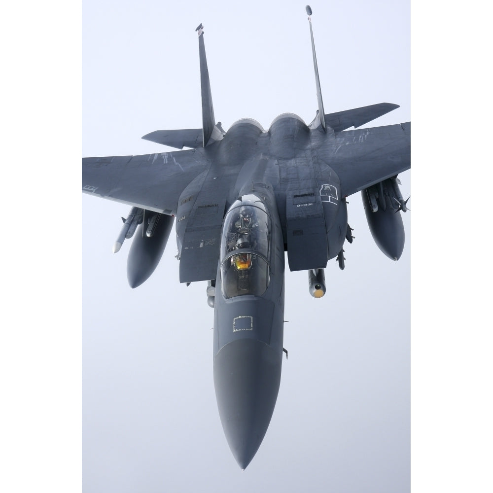 F-15E Strike Eagle of the US Air Force Poster Print Image 1