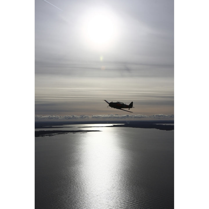 North American Aviation T-6 Texan trainer warbird in Swedish Air Force colors Poster Print Image 1