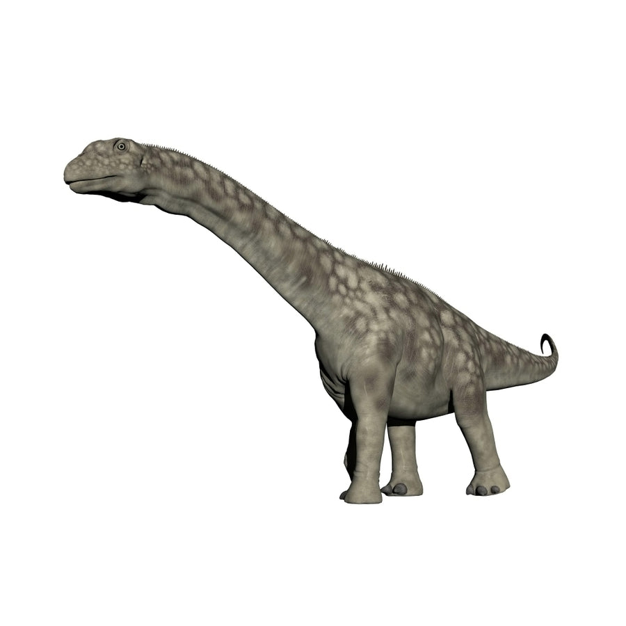 Argentinosaurus dinosaur white background Poster Print Image 1