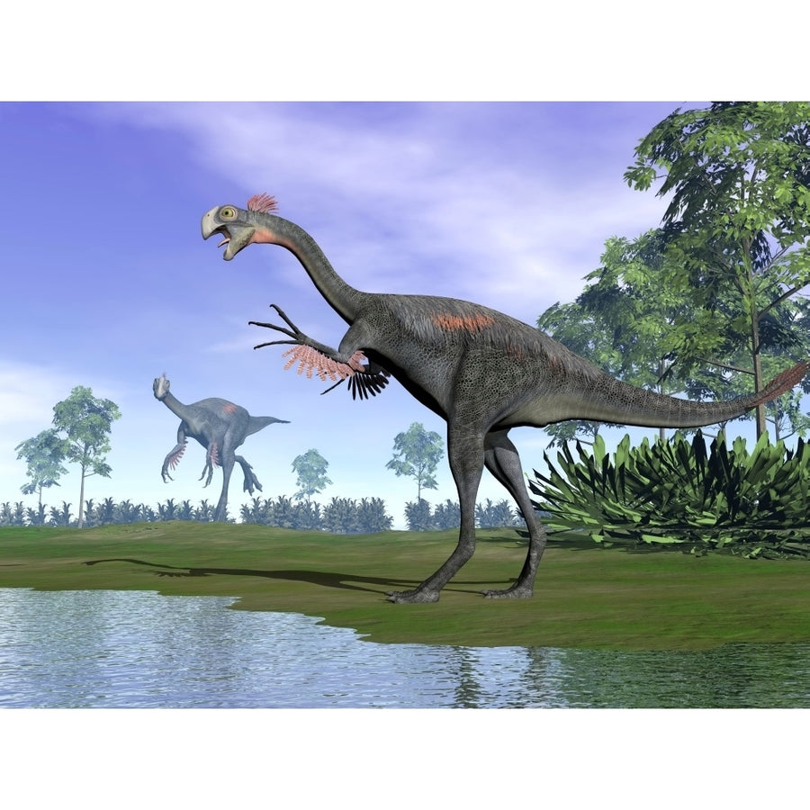 Two Gigantoraptor dinosaurs in a prehistoric environment Poster Print Image 1