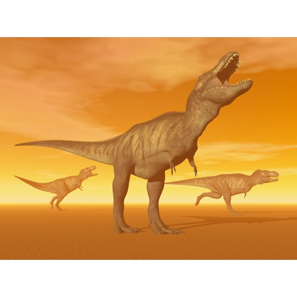 Tyrannosaurus Rex dinosaurs in an orange foggy desert by sunset Poster Print Image 2