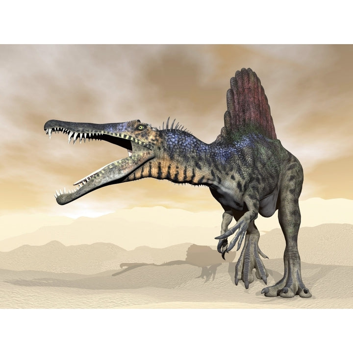 Spinosaurus dinosaur roaring in the desert Poster Print Image 1