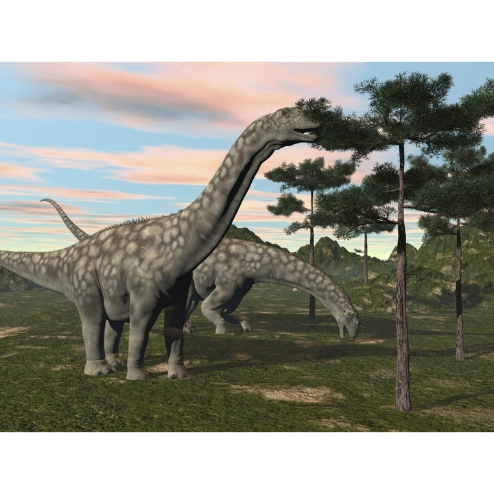 Argentinosaurus dinosaur grazing on treetops Poster Print Image 1