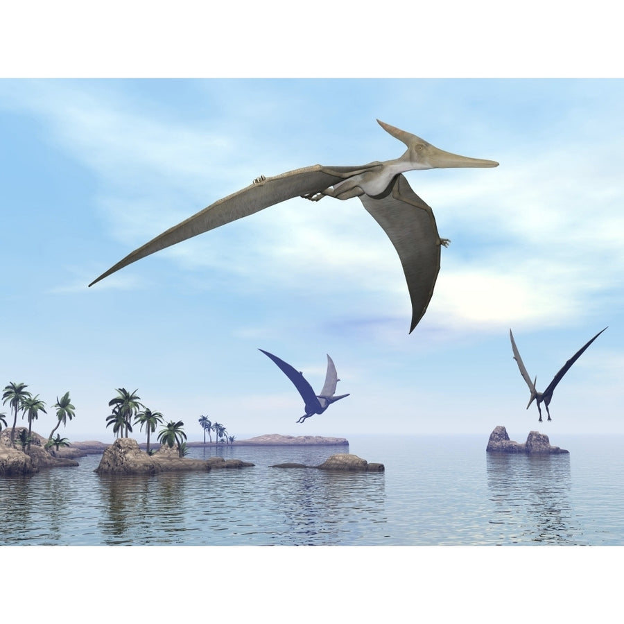 Three pteranodons flying over landscape with hills palm trees and water Poster Print Image 1