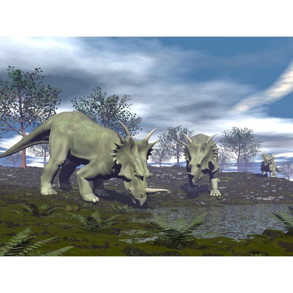 Three Styracosaurus dinosaurs drinking from a nearby lake Poster Print Image 2