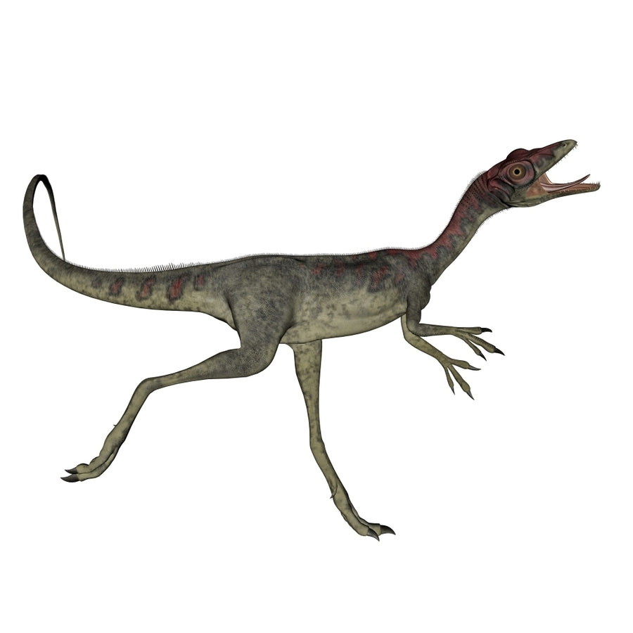 Compsognathus dinosaur running Poster Print Image 1