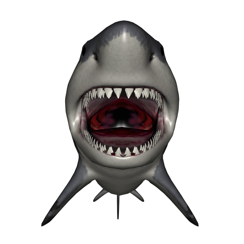 Megalodon dinosaur with mouth open Poster Print Image 1