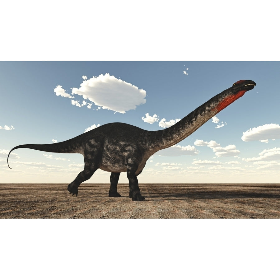 Apatosaurus dinosaur walking in the desert Poster Print Image 1