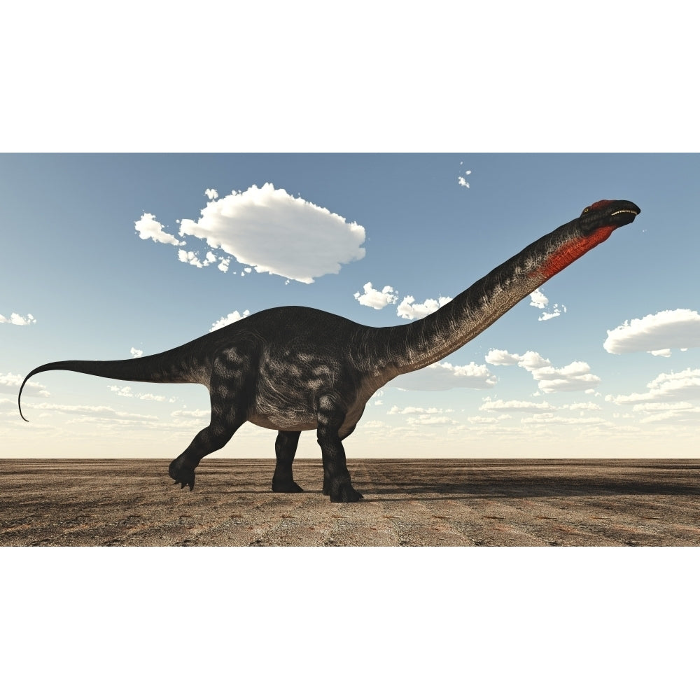 Apatosaurus dinosaur walking in the desert Poster Print Image 2