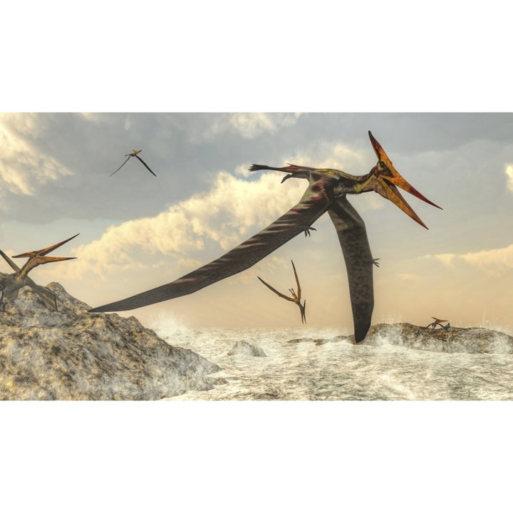 Pteranodon bird flying above ocean Poster Print Image 2