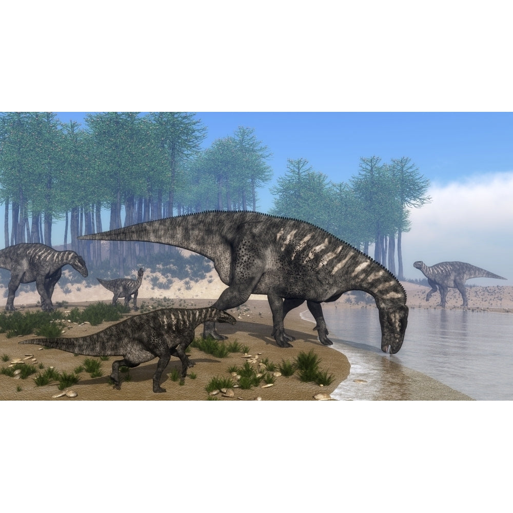 Iguanodon dinosaurs herd at the shoreline - 3D render Poster Print Image 2