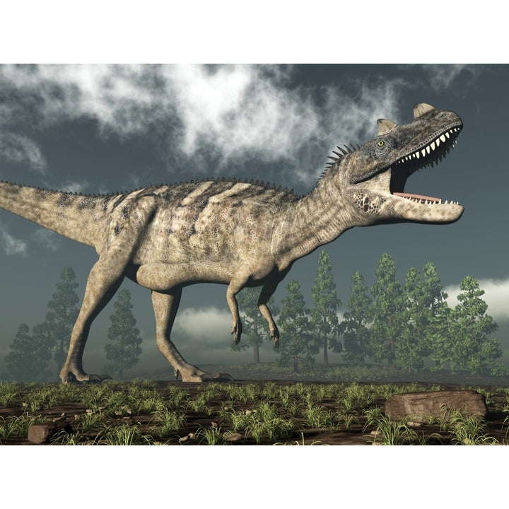 Ceratosaurus dinosaur roaring Poster Print Image 1