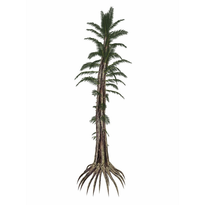 Tempskya prehistoric tree-like fern Poster Print Image 1