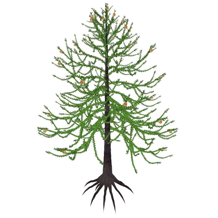 Araucaria prehistoric tree Poster Print Image 1