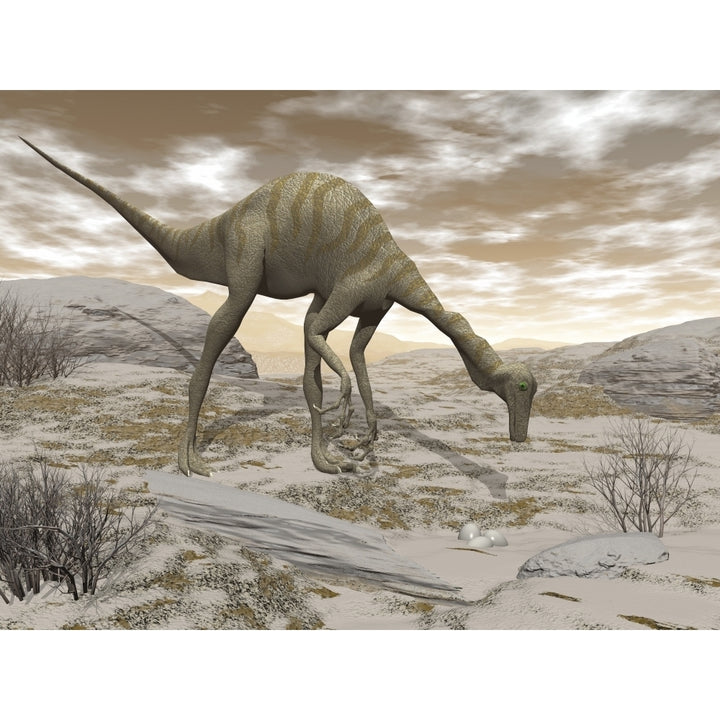 Gallimimus dinosaur discovering eggs in the desert. Poster Print by Elena Duvernay/Stocktrek Images Image 1