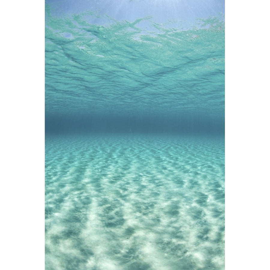 Bright sunlight ripples across a seafloor in the tropical Pacific Ocean Poster Print Image 1